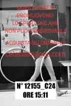 12155_C24