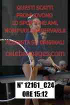12161_C24
