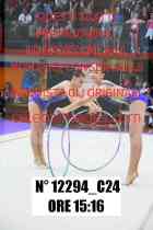 12294_C24