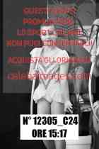 12305_C24