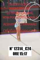 12314_C24