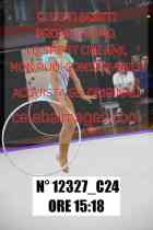 12327_C24