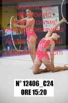 12406_C24