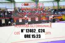 12462_C24