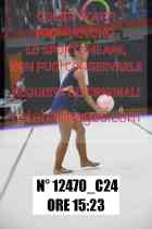 12470_C24