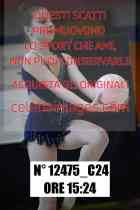 12475_C24