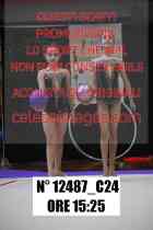 12487_C24