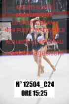 12504_C24
