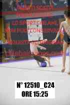 12510_C24