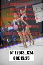 12513_C24