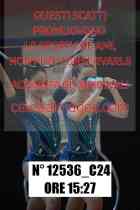 12536_C24
