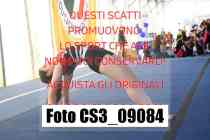 CS3_09084-