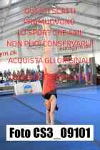 CS3_09101-