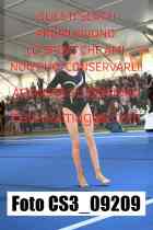 CS3_09209-