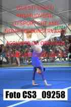 CS3_09258-