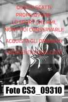 CS3_09310-