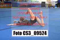 CS3_09524-