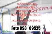 CS3_09525-