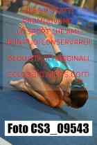 CS3_09543-