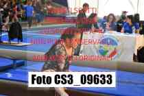 CS3_09633-