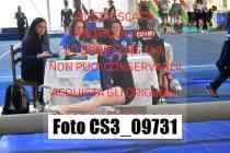 CS3_09731-