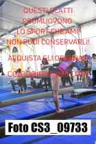 CS3_09733-