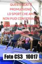 CS3_10017-