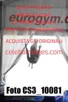CS3_10081-