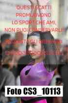 CS3_10113-