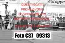 CS7_09313-