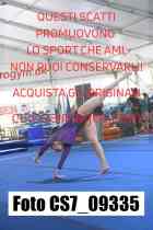 CS7_09335-