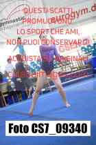 CS7_09340-