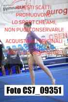 CS7_09351-