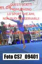 CS7_09401-