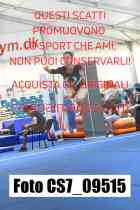 CS7_09515-