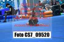 CS7_09520-