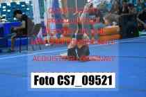 CS7_09521-