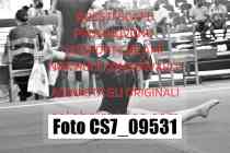 CS7_09531-