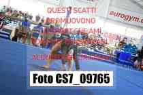 CS7_09765-