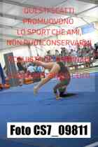 CS7_09811-
