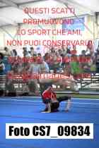 CS7_09834-