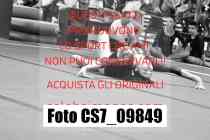 CS7_09849-