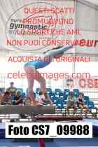 CS7_09988-