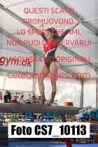 CS7_10113-