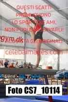 CS7_10114-