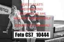 CS7_10444-