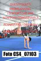 CS4_07103-