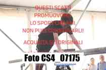 CS4_07175-