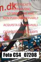 CS4_07208-