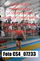 CS4_07233-